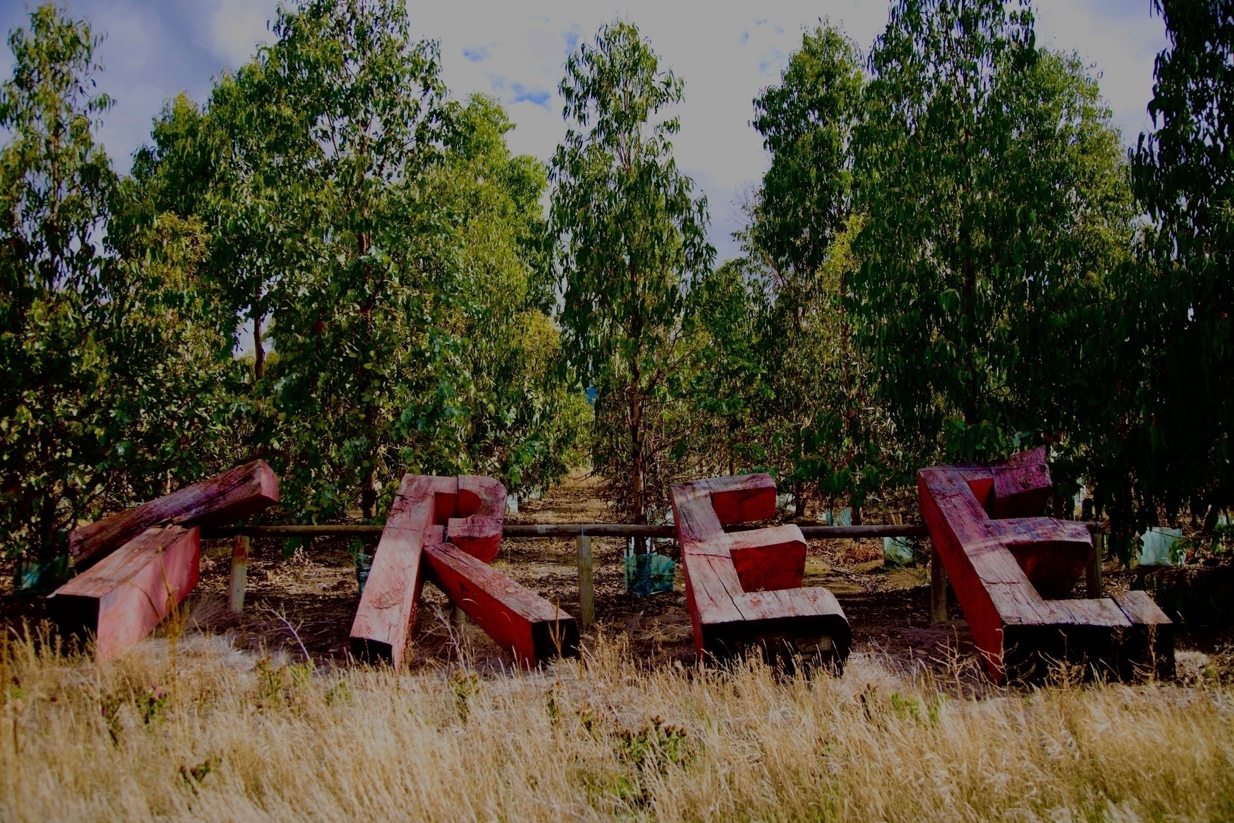 Large, red, 3D letters spelling TREE are placed outdoors among a backdrop of green trees.