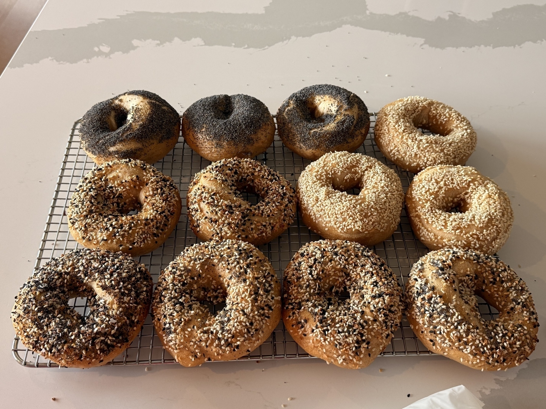 A cooling rack is filled with freshly baked bagels topped with various seeds.