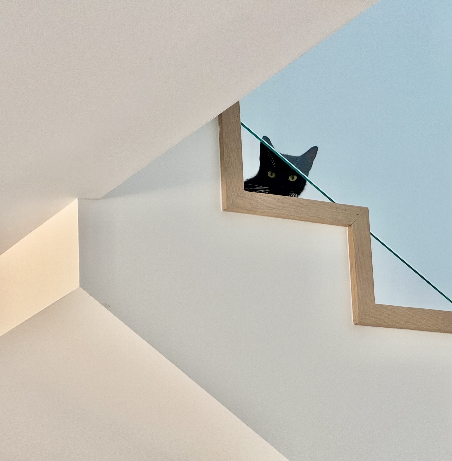 a small black cat sits at the top of the stairs glaring at you