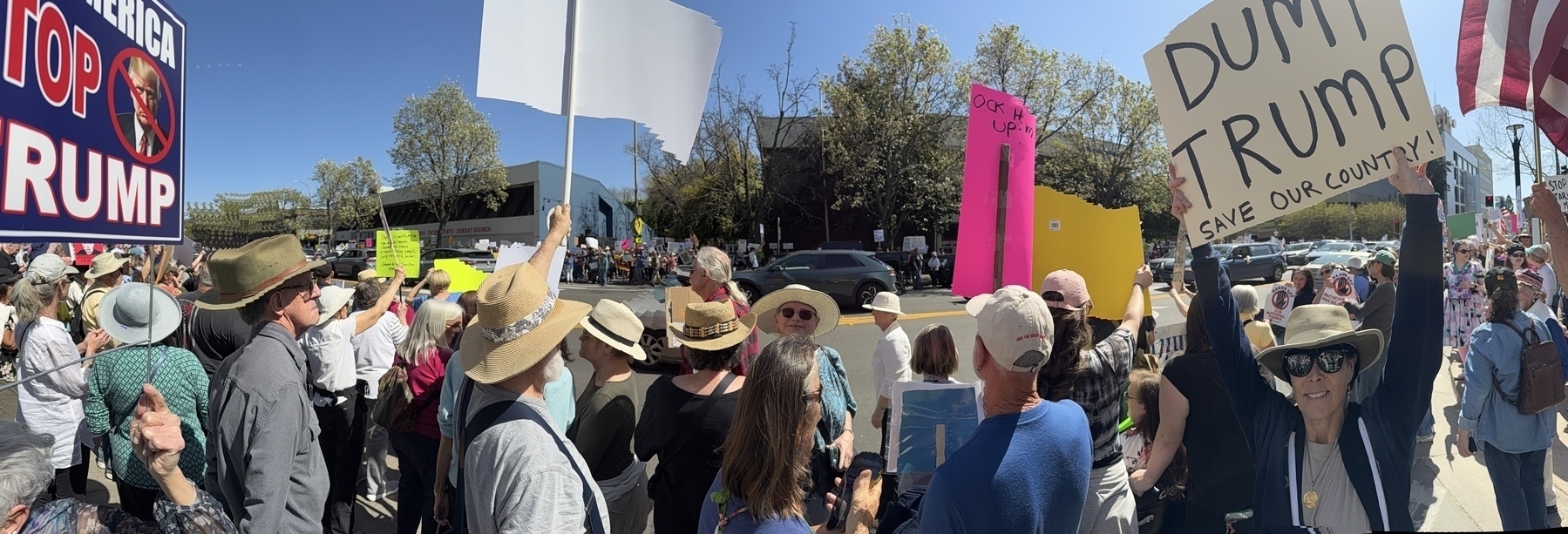 A group of people are gathered at a protest with various signs, including one that opposes Trump.